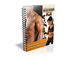 MUSCLE BUILDING 101