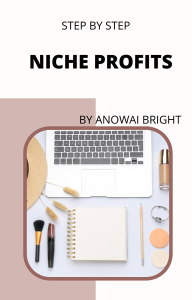 Step by step niche profits