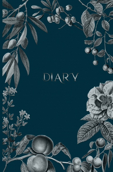 Silver and Blue Diary Journal | Vintage Journal Notebook | Elegant Personal Journal
