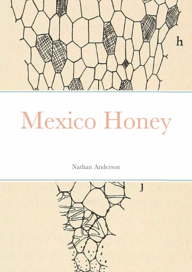 Mexico Honey