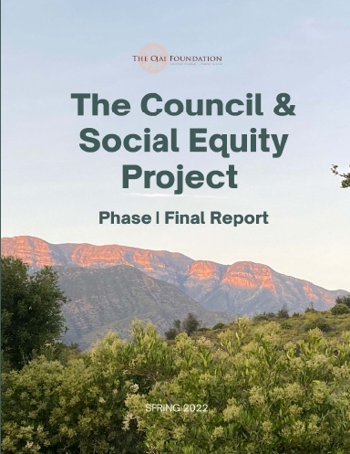 The Council & Social Equity Project - Phase I Final Report