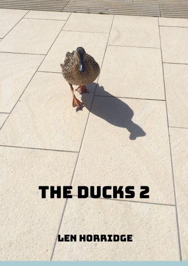 The Ducks #2