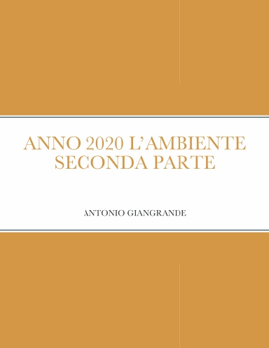 ANNO 2020 L’AMBIENTE SECONDA PARTE