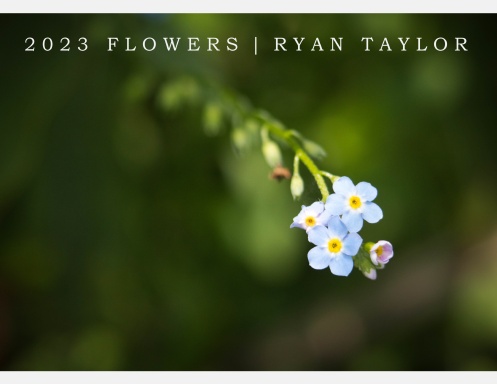2023 Flower Calendar
