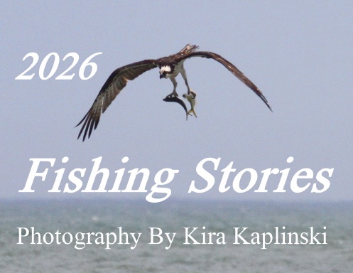 Fishing Stories Calendar 202