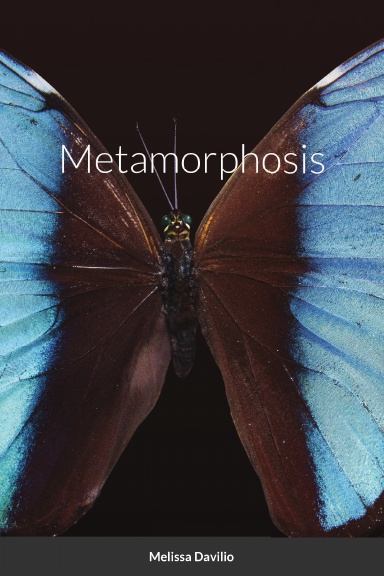 Metamorphosis