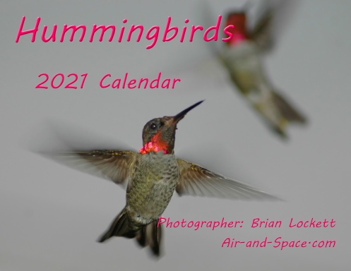Hummingbirds, 2021 Calendar
