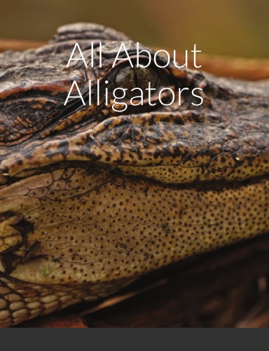 All About Alligators