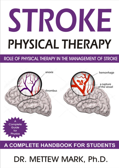 STROKE PHYSICAL THERAPY