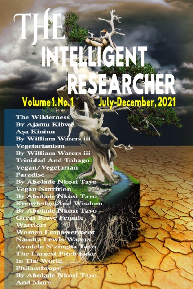 The Intelligent Researcher