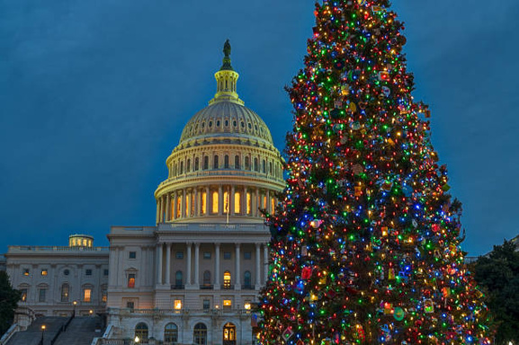Profiler Holiday Vengeance