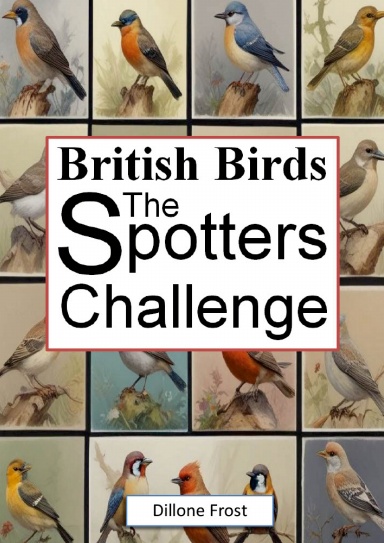 British Birds The Spotters Challenge