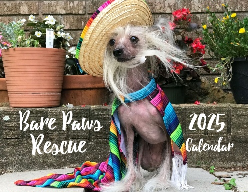 Bare Paws Rescue 2025 Calendar