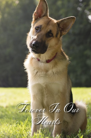 Forever In Our Hearts