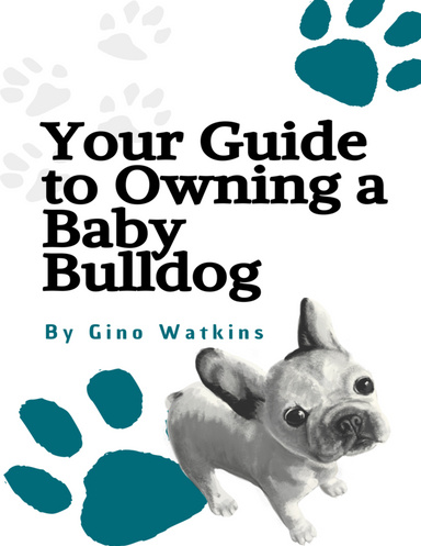 Your Guide to Owning a Baby Bulldog
