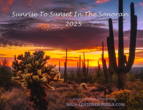 Sunrise To Sunset In The Sonoran 2025