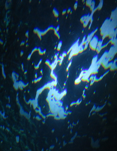 The Oceanaut