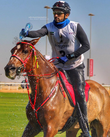 Prince Hamdan & Godolphin Ranch