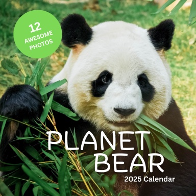 2025 Planet Bear Wall Calendar