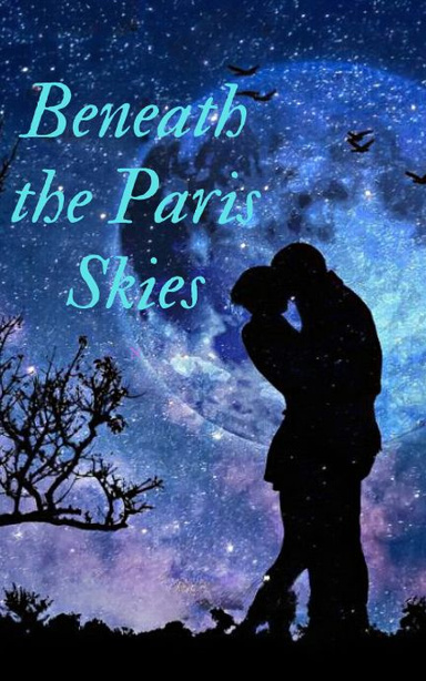 Beneath the Paris Skies