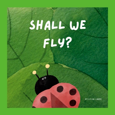 Shall we fly ?