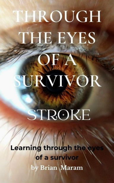 Through The Eyes of a survivor