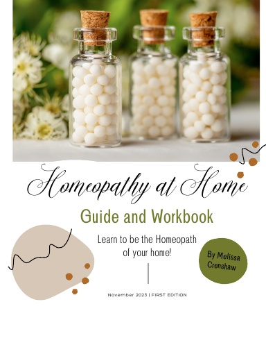 Homeopathy at Home Guide and Workbook