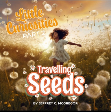 Little Curiosities(Part 2): Travelling Seeds