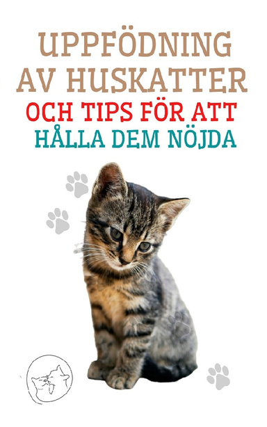 Uppfödning av Huskatter och Tips för att Hålla dem Nöjda