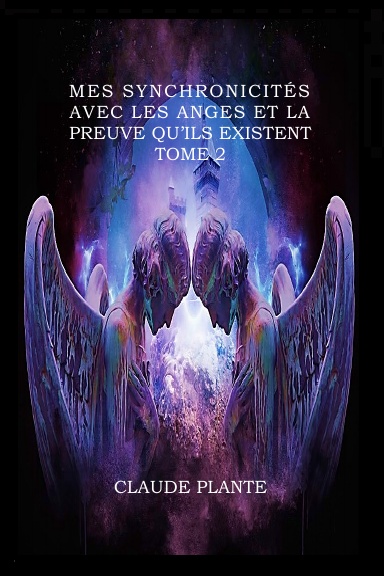 Mes synchronicités avec les anges et la preuve qu'ils existent - Tome 2