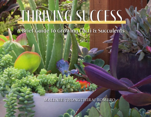 Thriving Success: A Brief Guide to Growing Cacti & Succulents