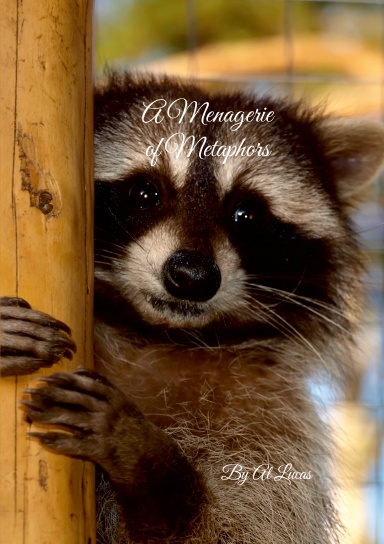 A Menagerie of Metaphors