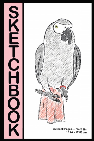 Sketch It Simply: The Essential Sketchbook