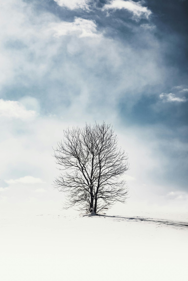 Snow Blues