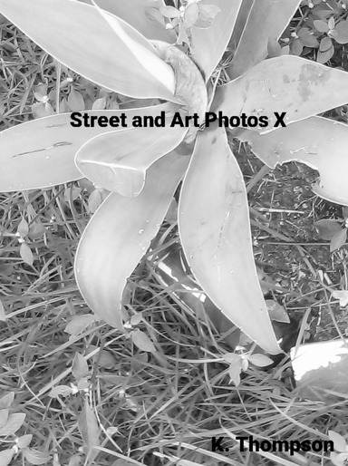 Street and Art Photos X