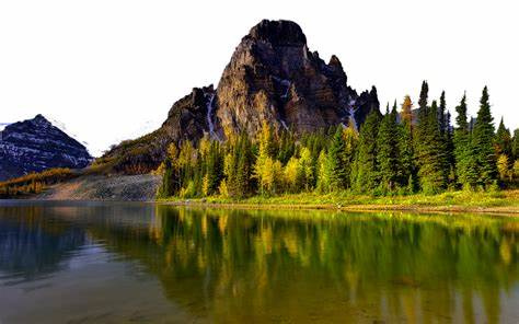 Nature Nurture