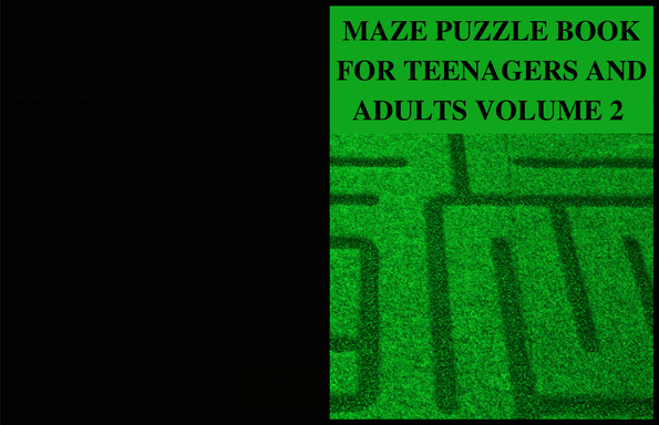 MAZE PUZZLE BOOK FOR TEENAGERS AND ADULTS VOLUME 2