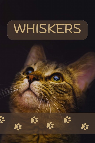 WHISKERS