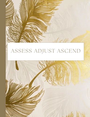 Assess Adjust Ascend 2024