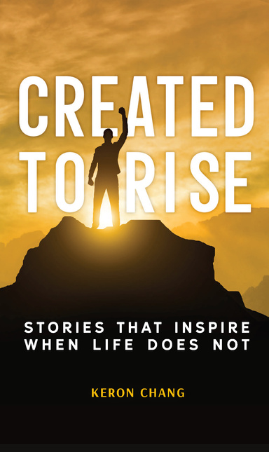 Created to Rise! Stories That Inspire When Life Does Not