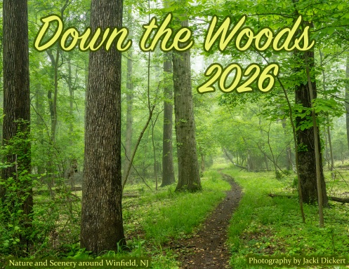 Down the Woods 2026
