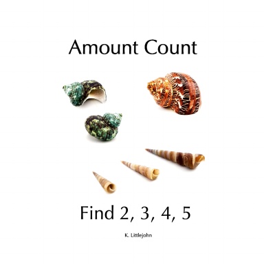 Amount Count  Find 2, 3, 4, 5