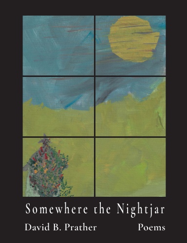 Somewhere the Nightjar