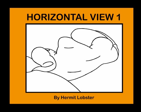 HORIZONTALE VIEW 1