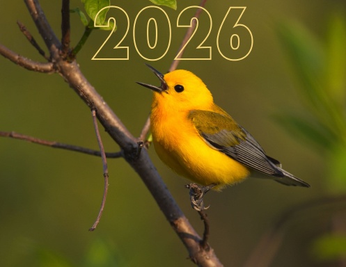 2026 Calendar