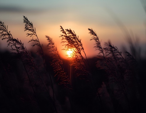 Calendrier sunset