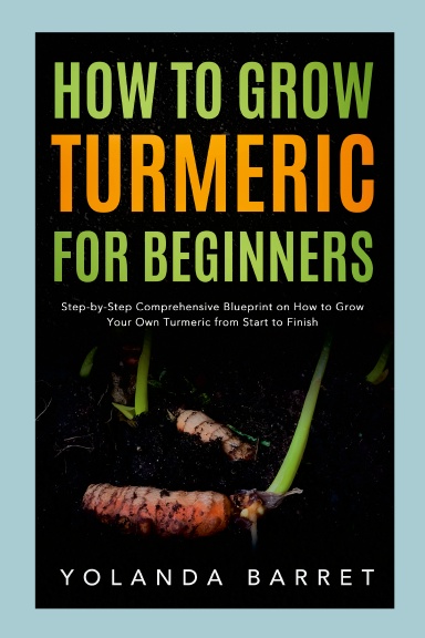 How to Grow Turmeric for Beginners