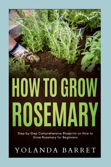 How to Grow Rosemary