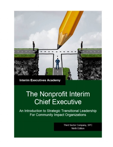 The Nonprofit Interim Chief Executive