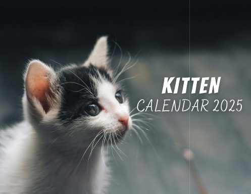 Kitten Calendar 2025